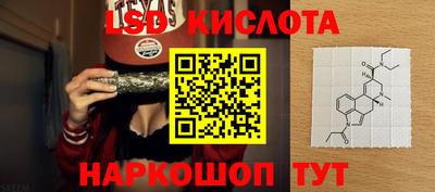 a pvp Славгород