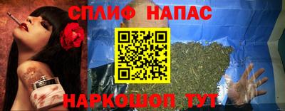 a pvp Славгород