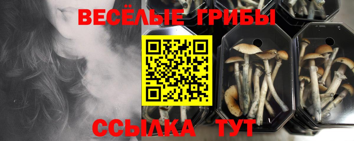 Псилоцибиновые грибы мухоморы Рославль